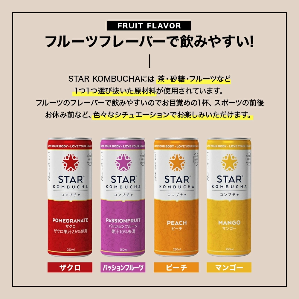 持ち運べるコンブチャ