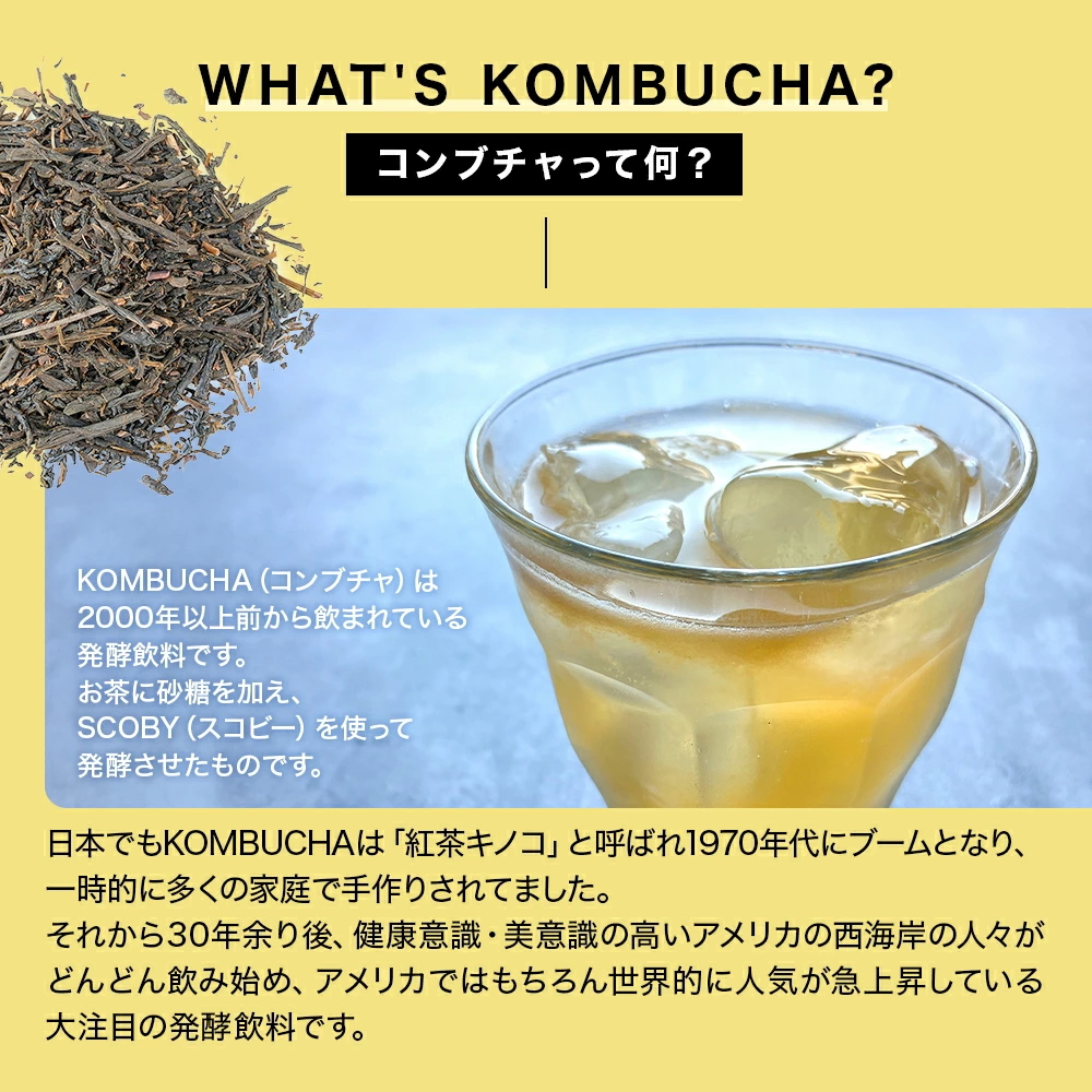 KOMBUCHA(コンブチャ)ってなに?
