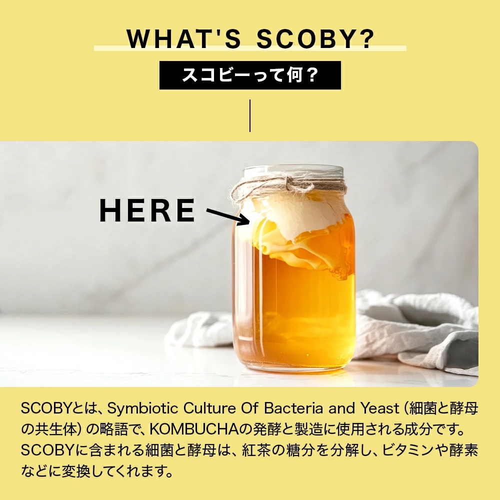 SCOBY(スコビー)とは?