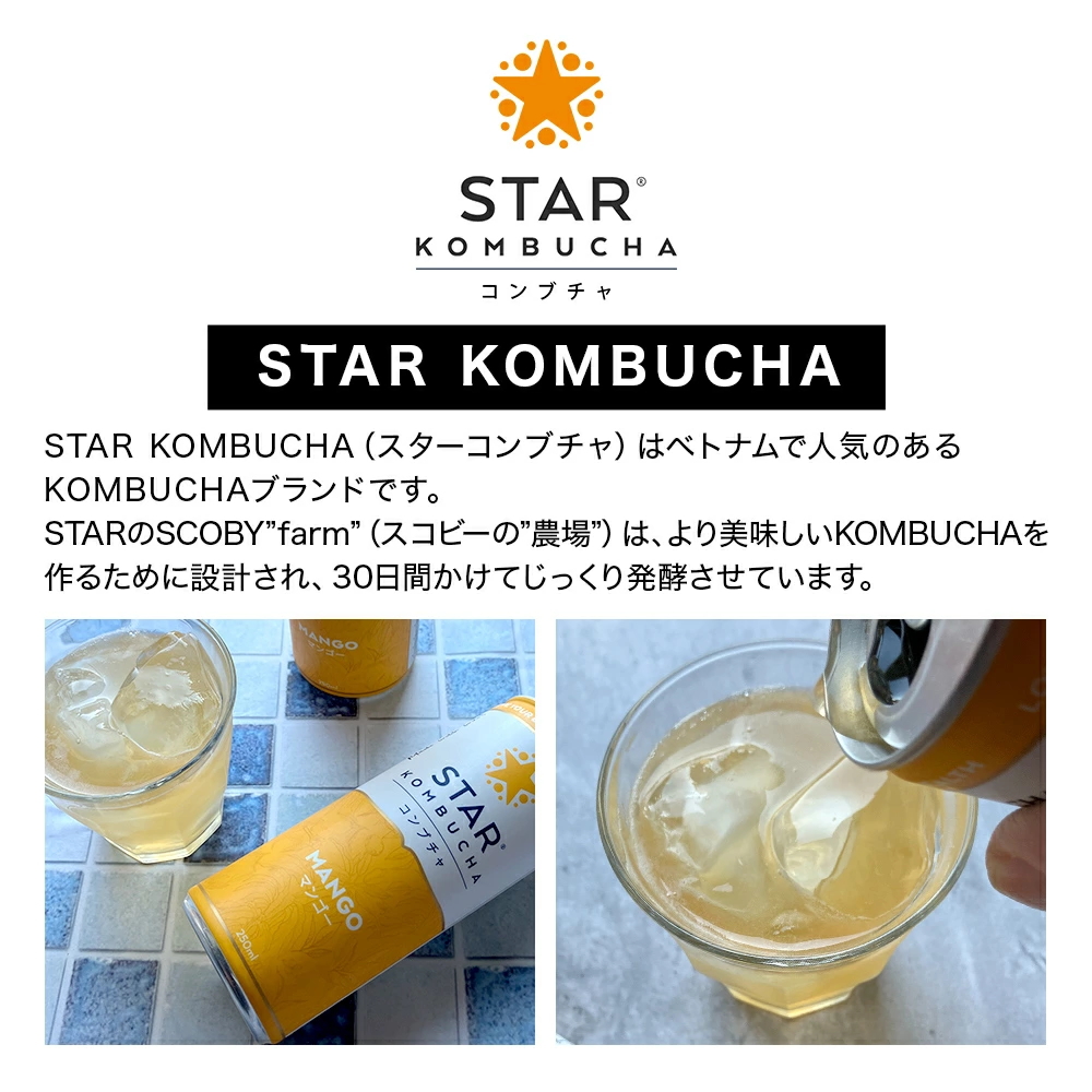 STAR KOMBUCHAって何?