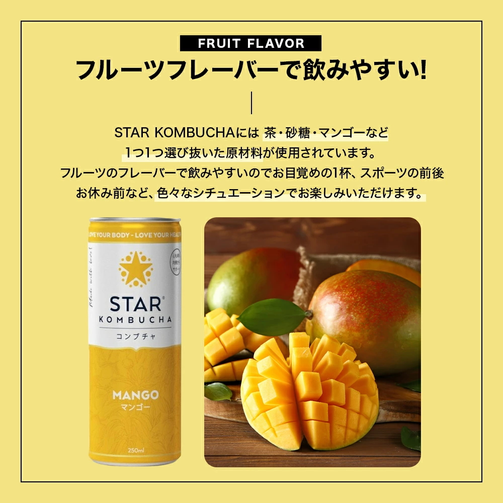 持ち運べるコンブチャ