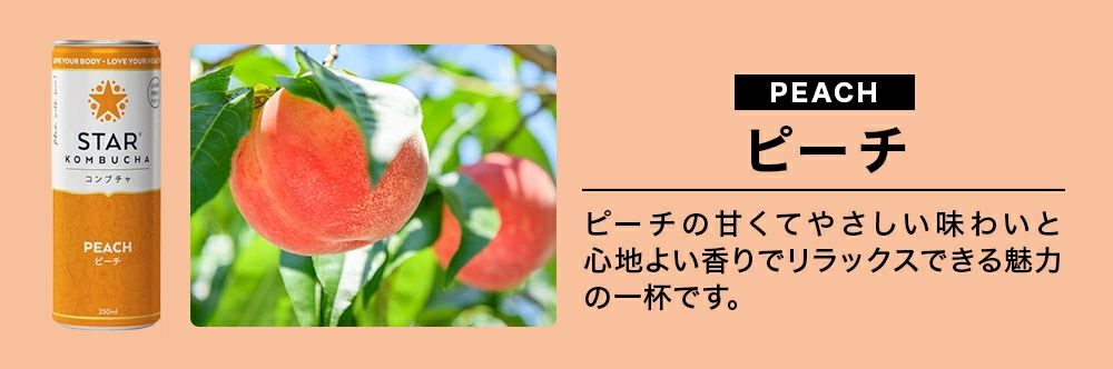 コンブチャラインナップ