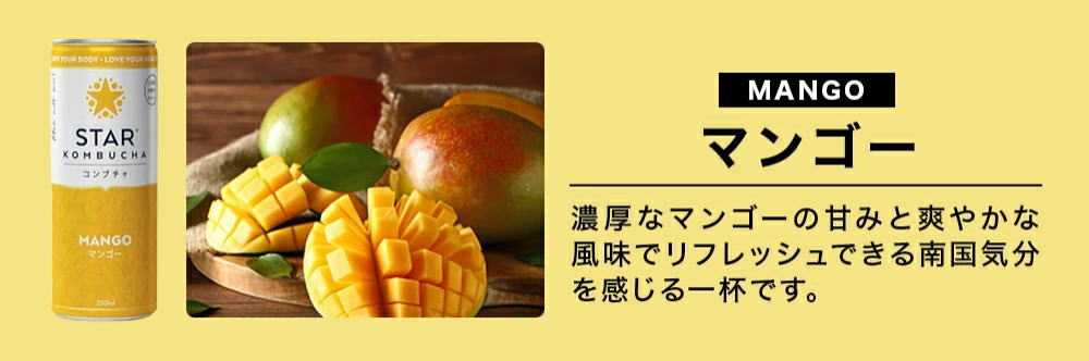 コンブチャラインナップ