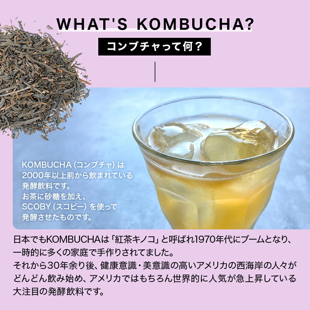 KOMBUCHA(コンブチャ)ってなに?