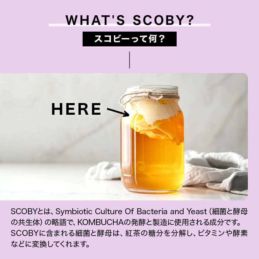 SCOBY(スコビー)とは?