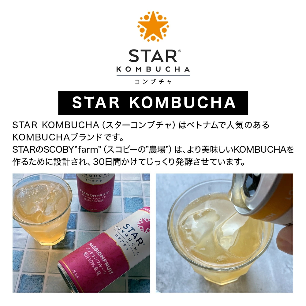 STAR KOMBUCHAって何?