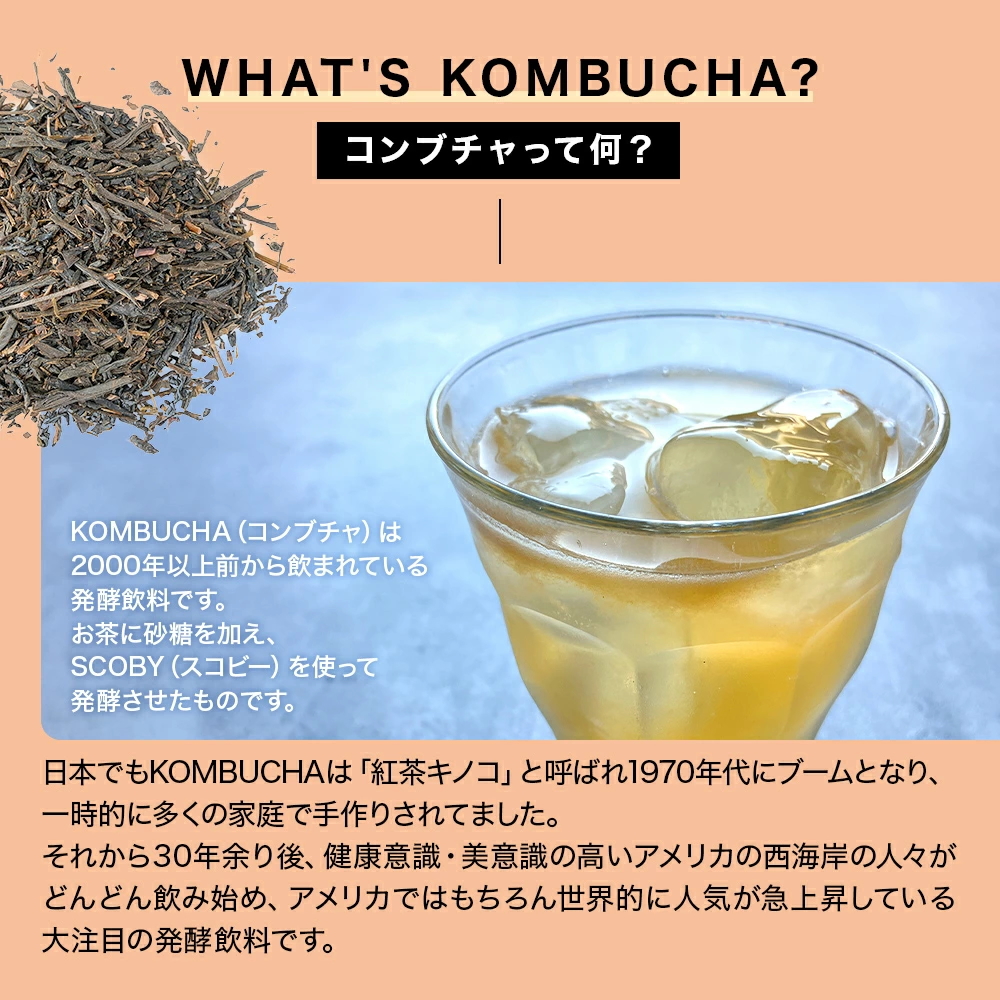 KOMBUCHA(コンブチャ)ってなに?