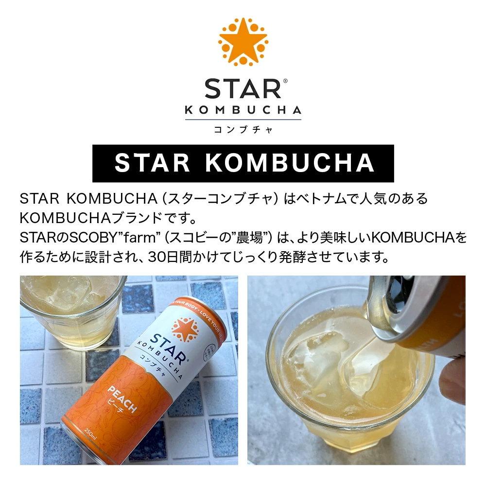 STAR KOMBUCHAって何?