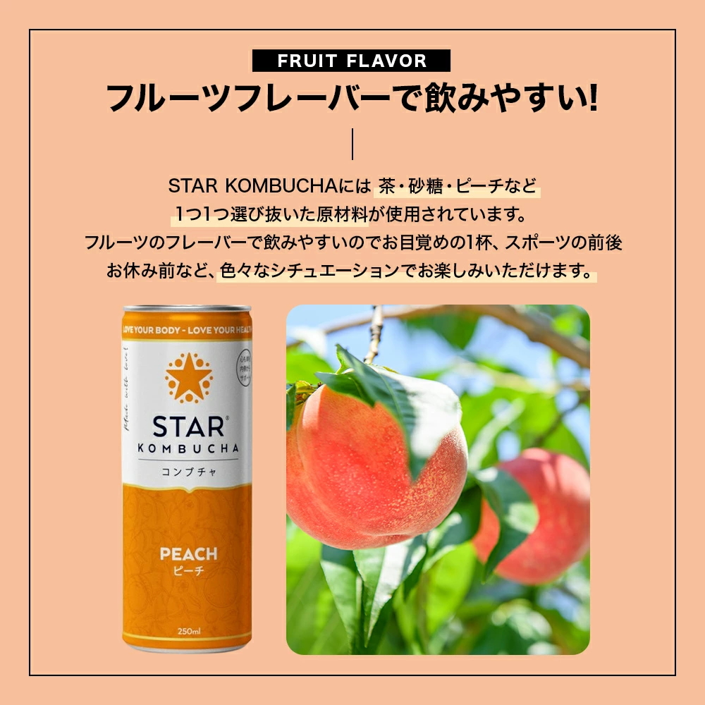 持ち運べるコンブチャ