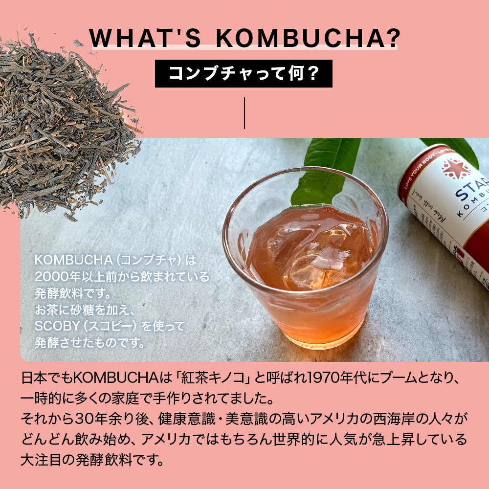 KOMBUCHA(コンブチャ)ってなに?