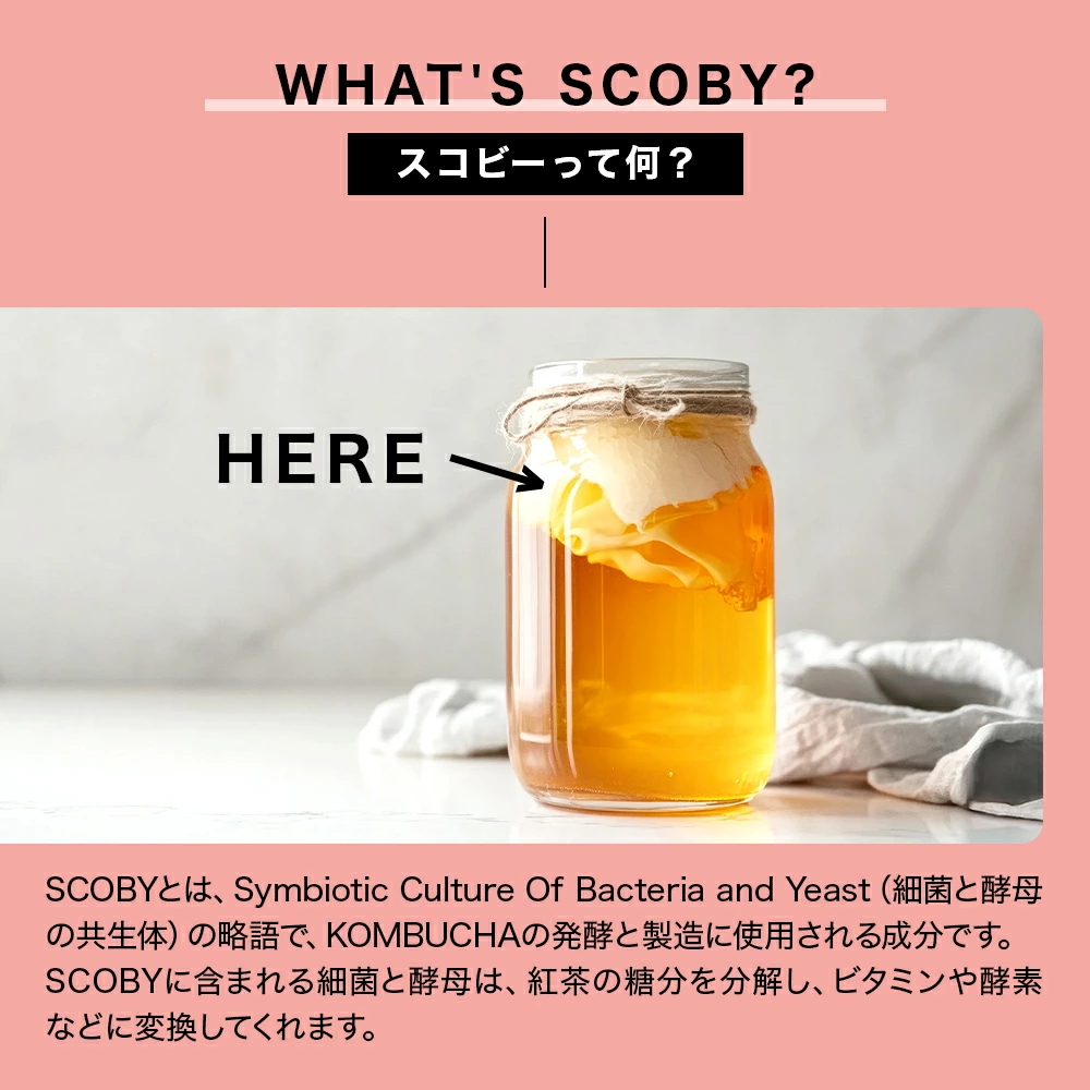 SCOBY(スコビー)とは?