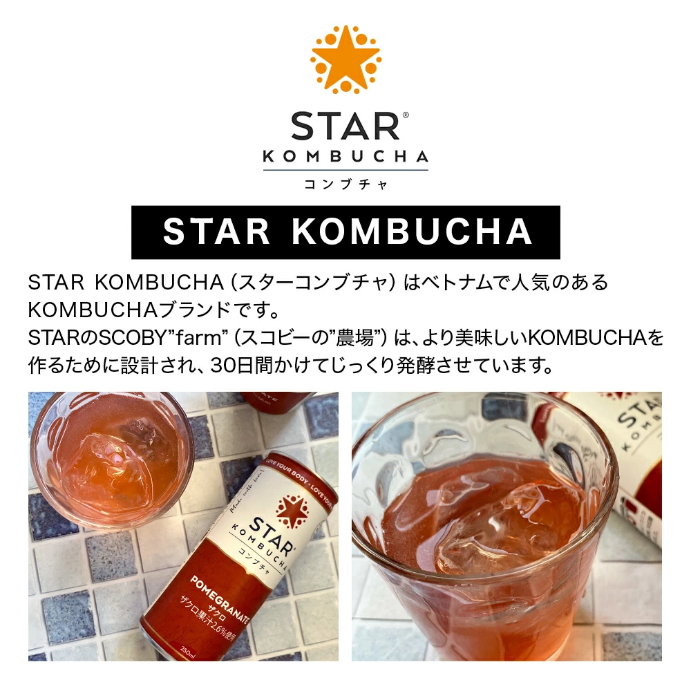 STAR KOMBUCHAって何?